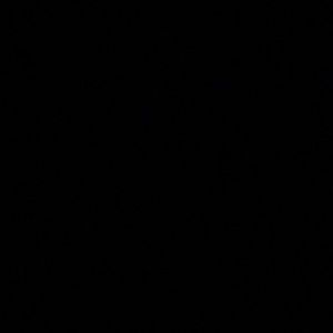 Meet your Posher, Bryan